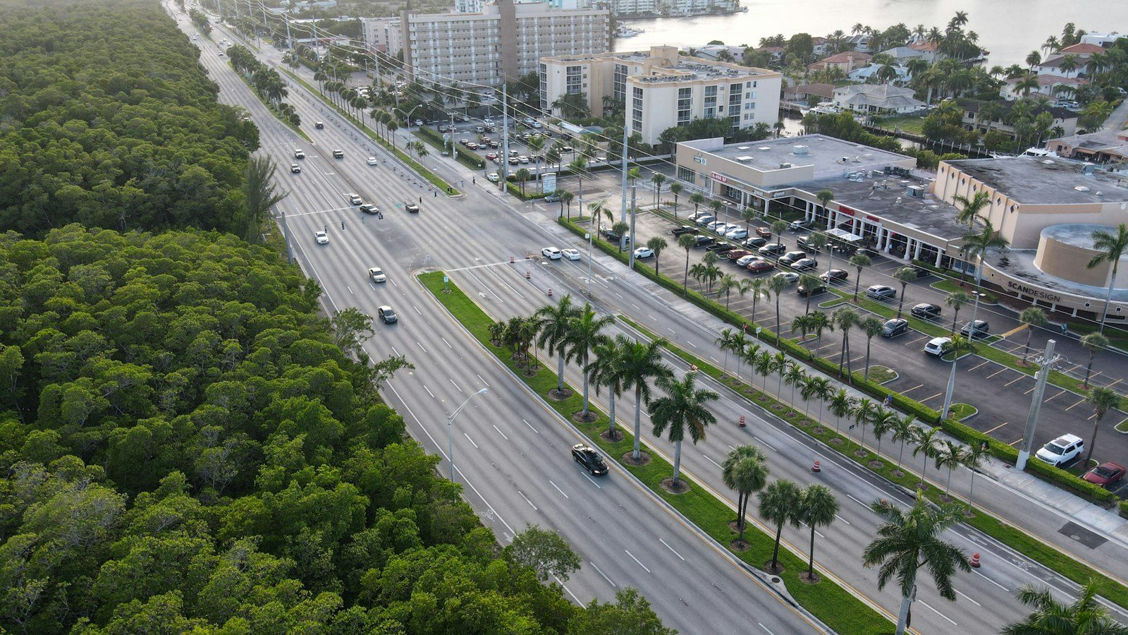 A six-lane divided highway lined with palms and shopping plazas, the kind of corridor US-19 is through Pasco County